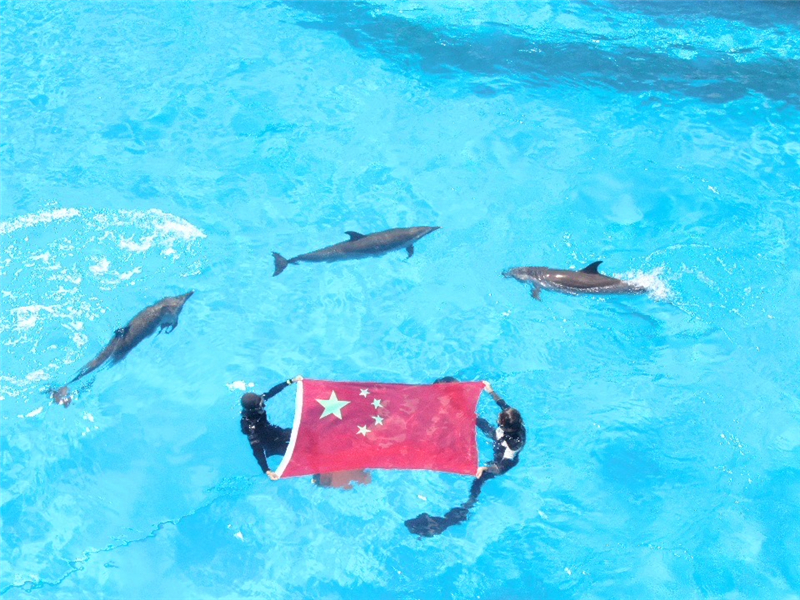 圖片4